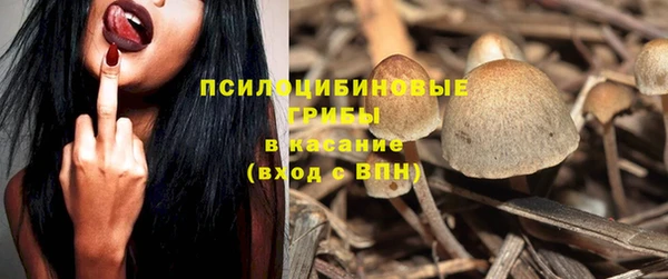 спиды Инта